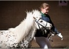 Pferd International 010